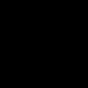 Meet your Posher, Pam